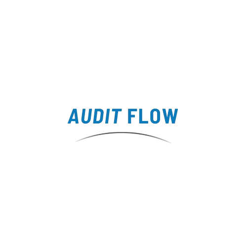 Audit Flow